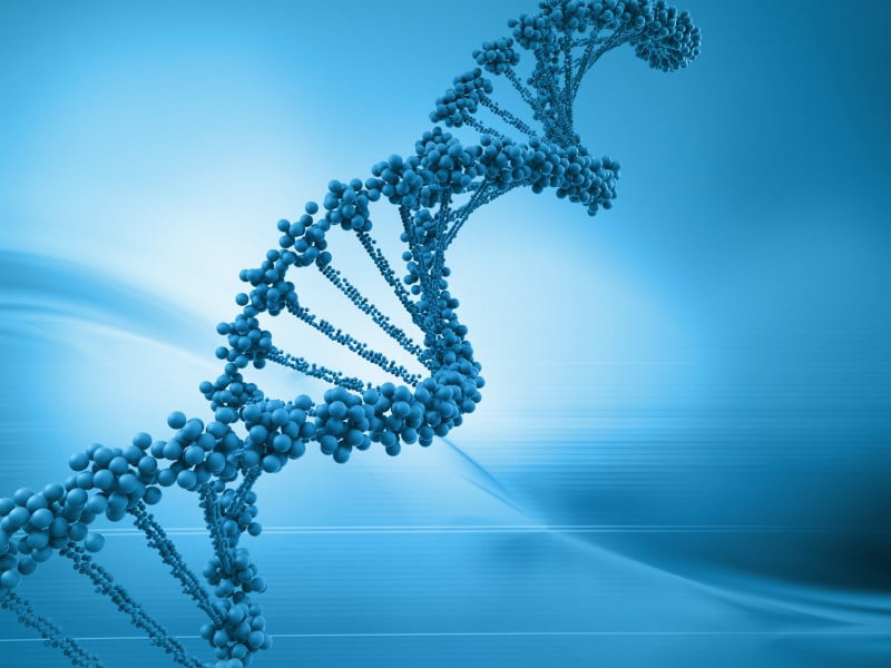 Investigadores identificam sequências de ADN responsáveis pela periodontite