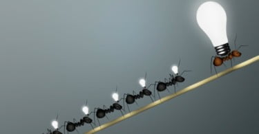 Sabe que ‘ingredientes’ faltam aos líderes modernos?