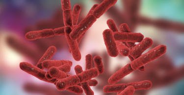 Identificada mutação que confere às bactérias resistência aos antibióticos