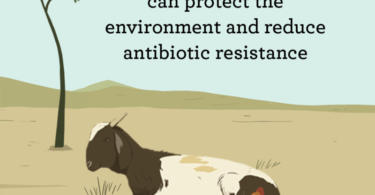 OMS antibióticos campanha