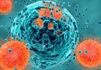 Hoje é o Dia Mundial da Luta Contra o Cancro