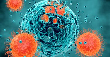 Hoje é o Dia Mundial da Luta Contra o Cancro