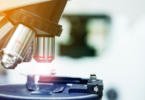 Portugal é um dos países que mais produz investigação científica