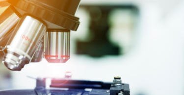 Portugal é um dos países que mais produz investigação científica