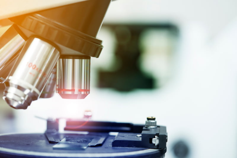 Portugal é um dos países que mais produz investigação científica