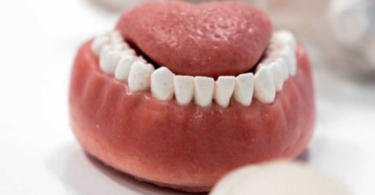 Investigadores criam modelo bucal “realista” para melhorar formação dentária