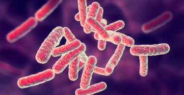 Investigadores conseguem criar antibiótico capaz de atacar apenas as bactérias más