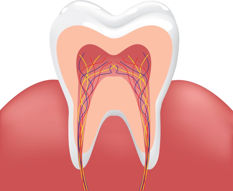 Clínica Smile.up disponibiliza serviço de criopreservação de células estaminais da polpa dentária