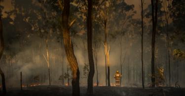 SO incendios austrália