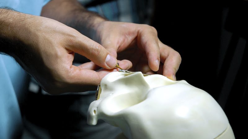 MALO CLINIC Education Saude Oral