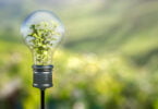 Dissertação de mestrado estuda sustentabilidade ambiental das clínicas dentárias portuguesas