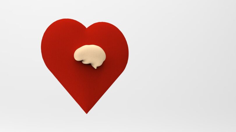 A inteligência emocional (IE) relaciona-se com as formas pelas quais um indivíduo pode compreender e gerir as suas próprias necessidades.