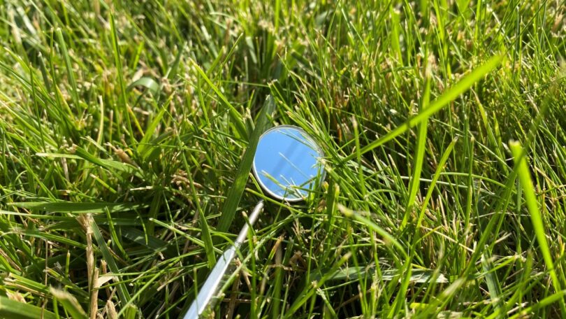 Os médicos dentistas estão mais conscientes do impacto ambiental da sua atividade e empreendem medidas que os tornam mais “verdes”.