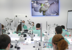 Regulamento do acesso às especialidades de endodontia entra em consulta pública