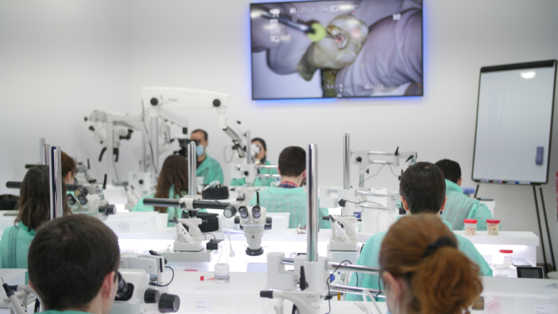 Regulamento do acesso às especialidades de endodontia entra em consulta pública