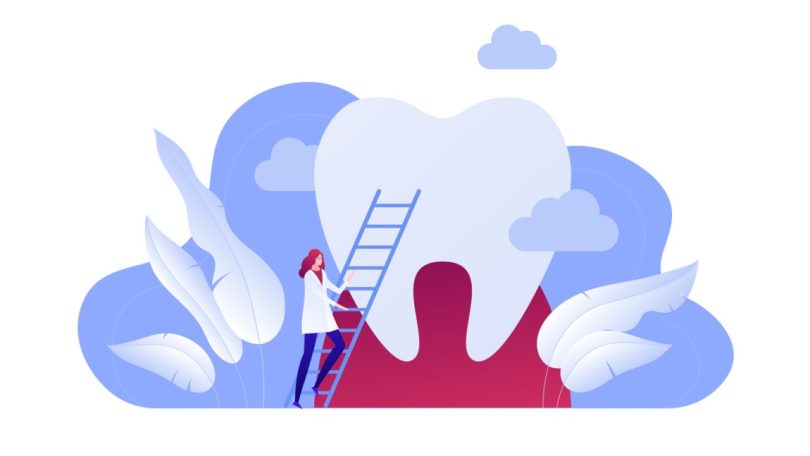 OMD desmaterializa candidatura às especialidades