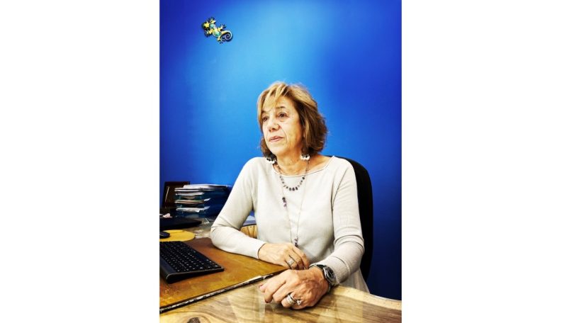 Gecko: “O nosso contributo técnico para os clientes é crucial para o sucesso dos tratamentos”