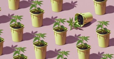 O efeito do consumo de drogas na saúde oral